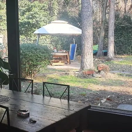 L'oasi Nel Bosco *